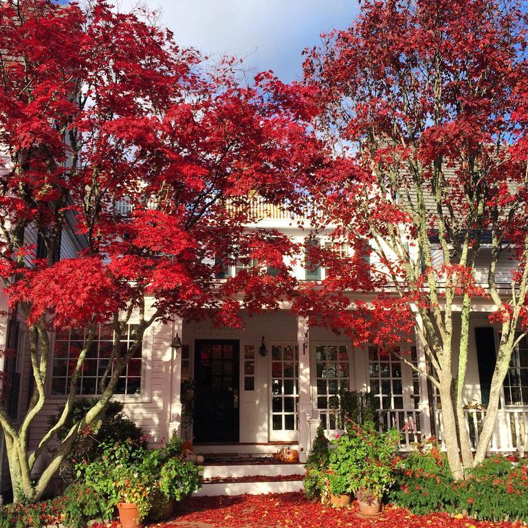 Hob Knob Hotel Edgartown Kültér fotó